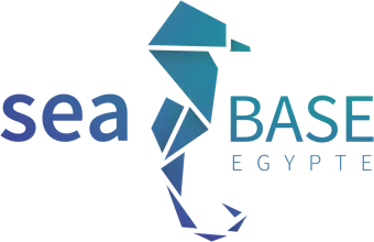 Logo Sea Base